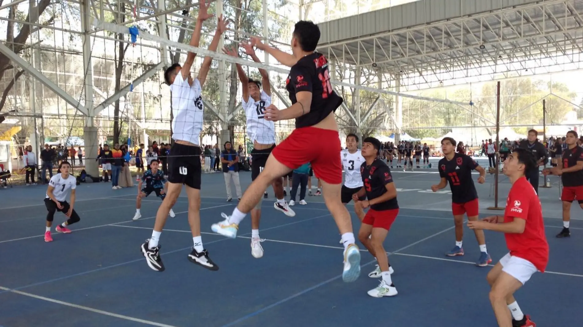 selectivo estatal de voleibol 1